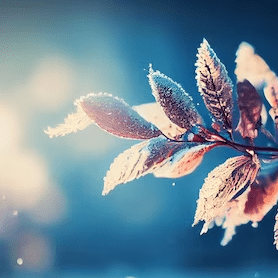 Photo de Marie Armance D AVOUT D AUERSTAEDT