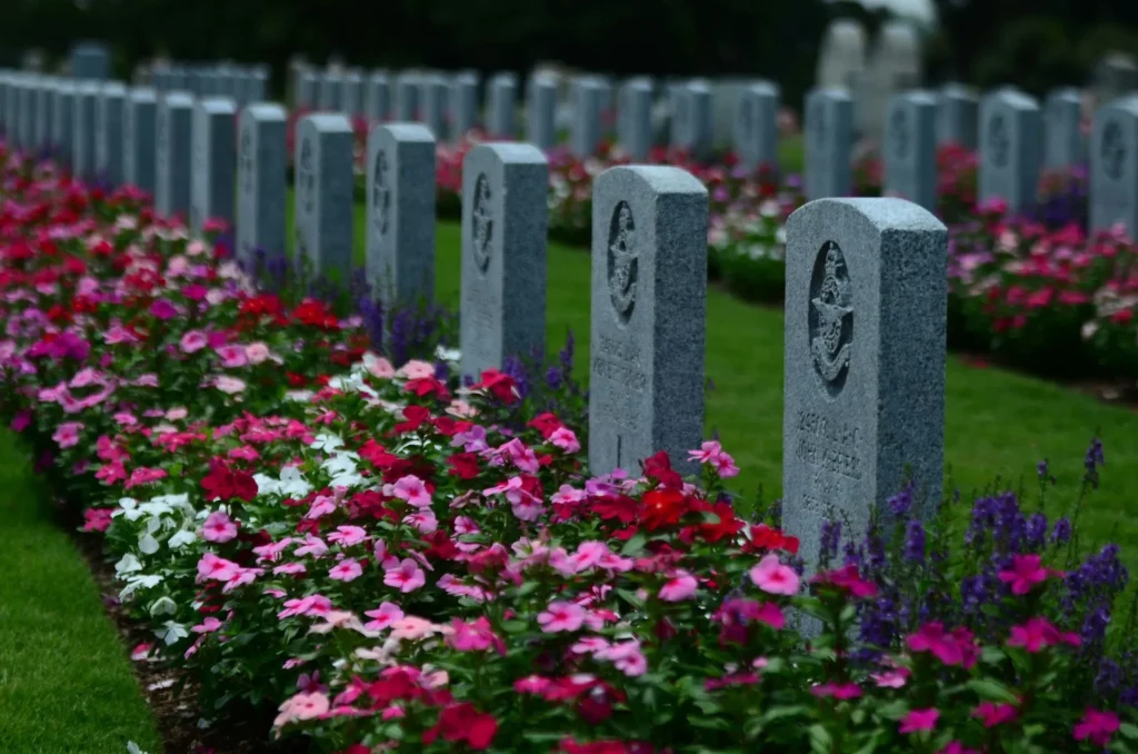 Alignement de stèles mortuaires et fleurs colorées dans un cimetière.